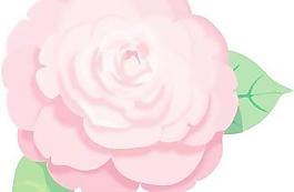 玫瑰花矢量30