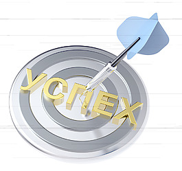 蓝镖在它成功的译文