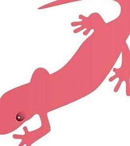 salamder剪贴画