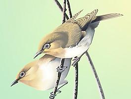 鳥類