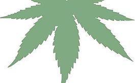 大麻葉剪貼畫(huà)