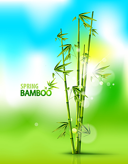 夢幻竹子背景矢量素材