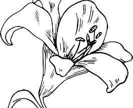 花冠剪贴画