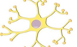 神经元interneuron剪贴画