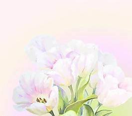 白花矢量04