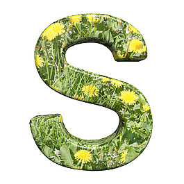 一封來自植物的字母集