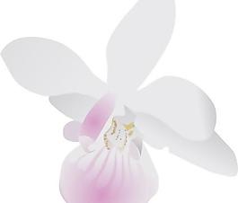 Orchidea剪貼畫