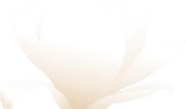 magnolia_white剪貼畫(huà)