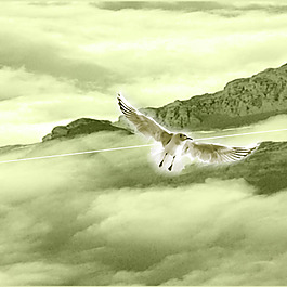 老鷹 山 白云 風(fēng)景圖
