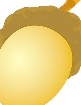 橡子剪貼畫