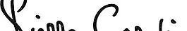 彼埃爾Cardin logo2