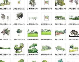 植物psd素材1