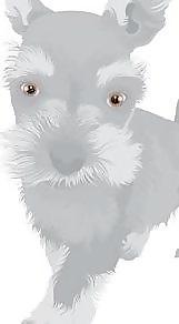 梗4