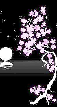 櫻花剪貼畫