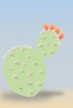 仙人掌类植物剪贴画