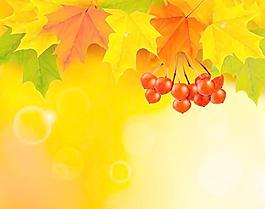 矢量秋葉背景藝術(shù)03