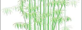 綠色的竹子矢量素材