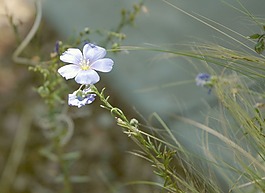 圖252