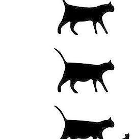 猫图标剪贴画
