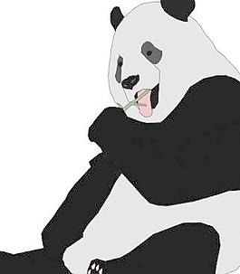 熊貓的剪輯藝術