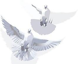 鴿子矢量3