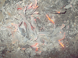 防火結(jié)構(gòu)
