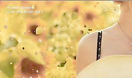 潑濺裝飾元素筆刷 下載