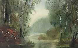 红叶树