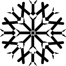 蓬勃發(fā)展的雪花