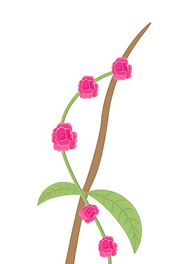 紅色的春天的花朵分公司