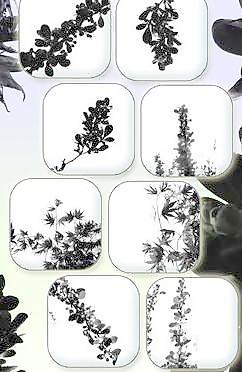 树枝笔刷 下载
