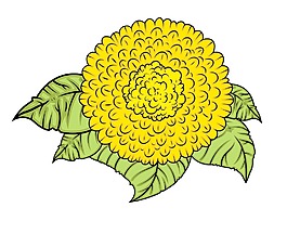 黃色的花