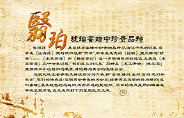 翳珀 琥珀 古典