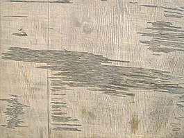 rough_wood_texture