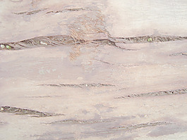 cracked_wood