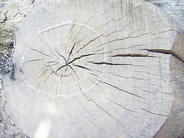 damage_wood