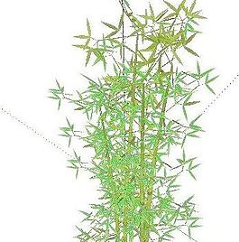 竹子su模型