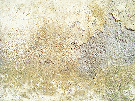 crease_texture