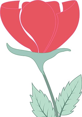 自然周年花