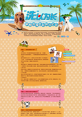 宠物banner