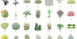 植物素材34灌木素材034B1