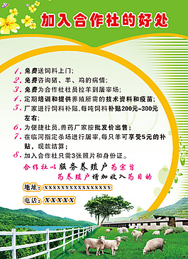 合作社宣傳彩頁(yè)