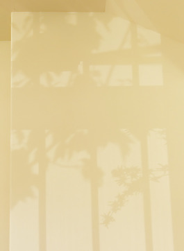 紋理背景
