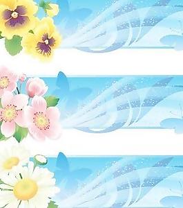 花旗