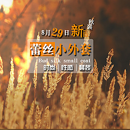 蕾丝小外套设计模板海报秋意