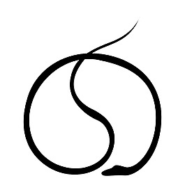 蛇的造型設計