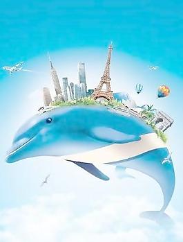 海豚追逐夢 下載
