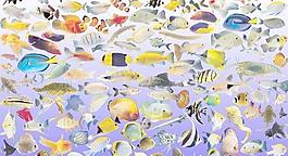 海洋生物魚類PSD 下載