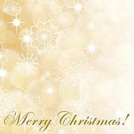 圣誕雪花圖案設(shè)計矢量圖02