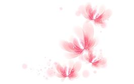 唯美清新粉色花朵背景